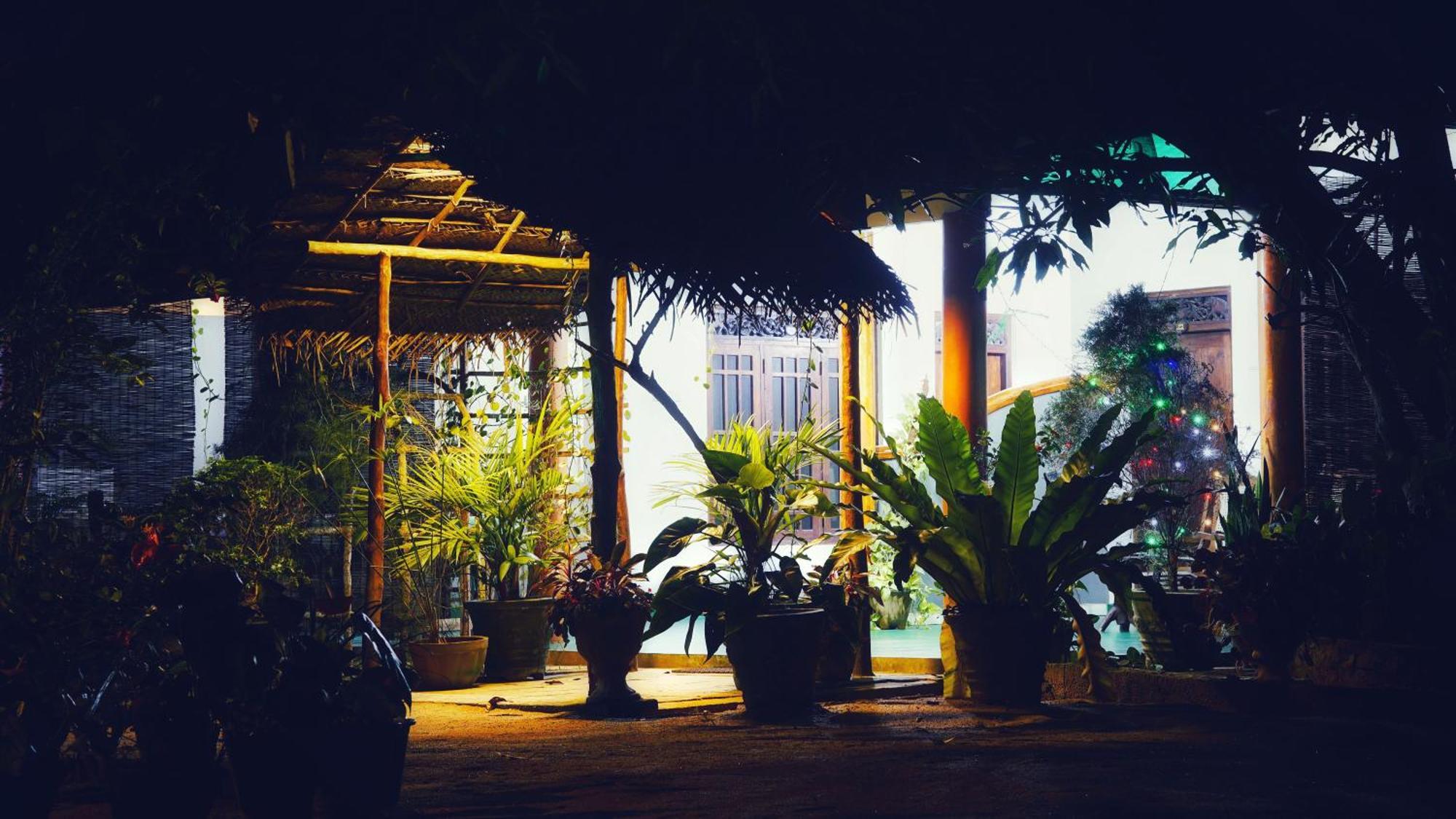 Sigiri Dilu Villa Сигирия Экстерьер фото